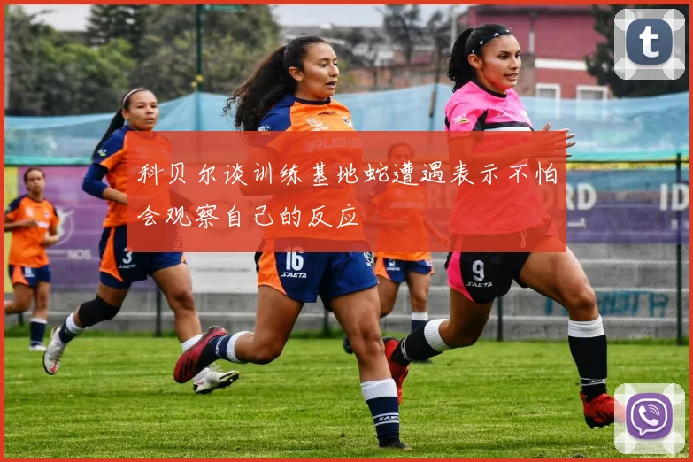 科贝尔谈训练基地蛇遭遇表示不怕会观察自己的反应